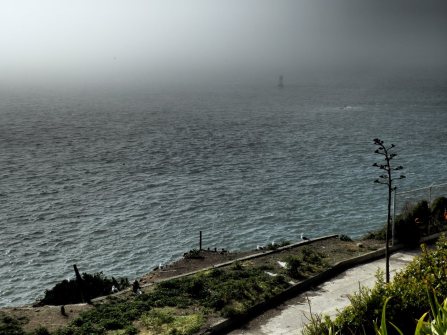 Alcatraz_2013_03